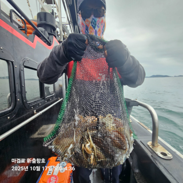 ꫛꫀꪝ✧‧˚ 태안 마검포 新출항호 .• _˚☀₊_사진_20251017_15.jpg