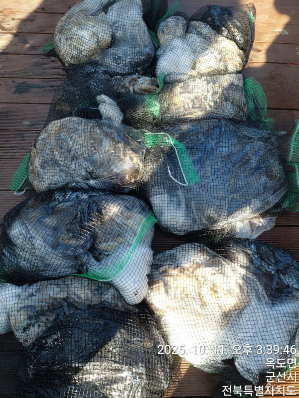 바다의 전설 부평25_사진_20251011_9.jpeg