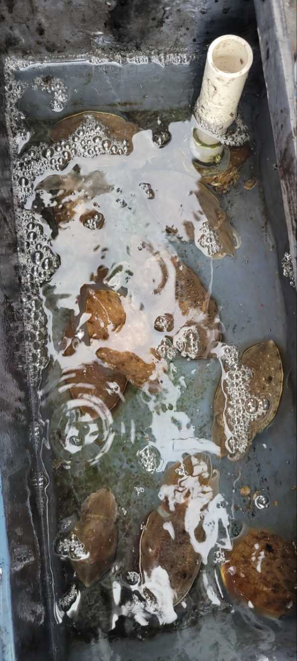 예지퀸호 농어외수질&어초낚시 경기인천권_사진_20251001_18.jpg