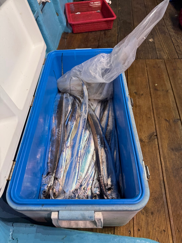 제주 쏘니호_사진_20251007_9.jpg