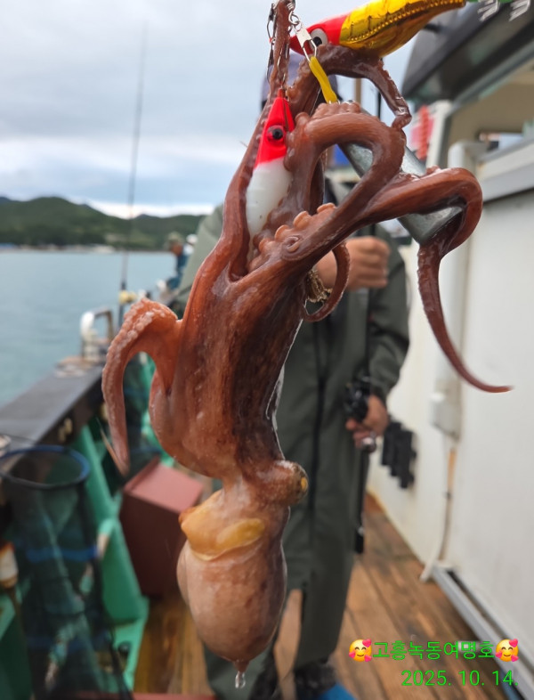 쎄븐피싱클럽(선상 버스출조전문)_사진_20251014_12.jpg