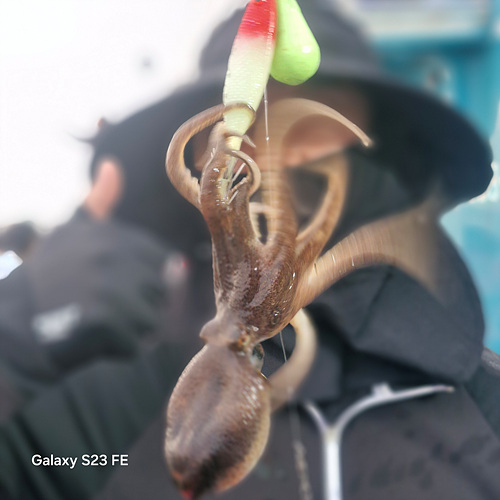 인천쭈꾸미낚시 (11).jpg