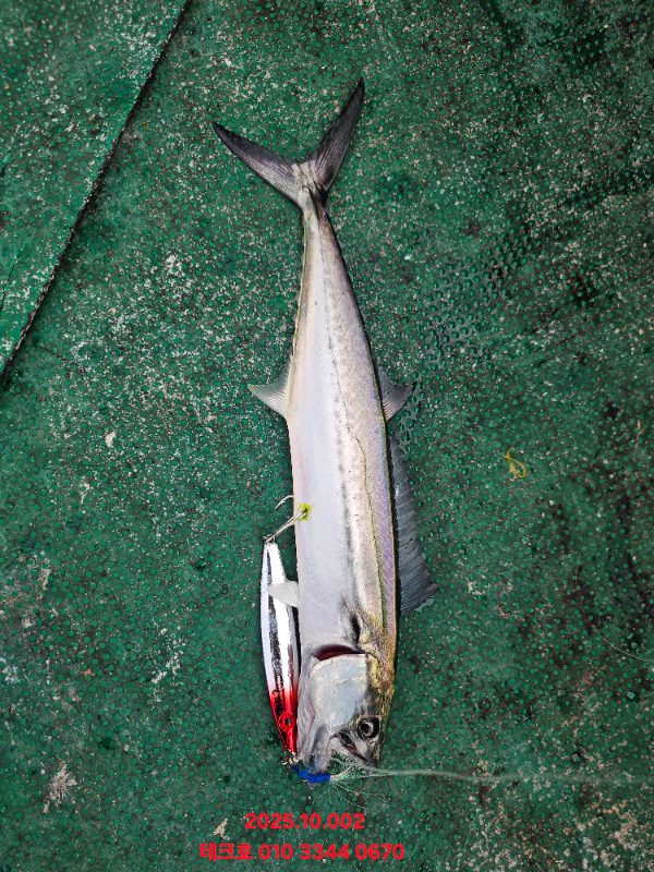 KakaoTalk_20251002_194826519_20.jpg