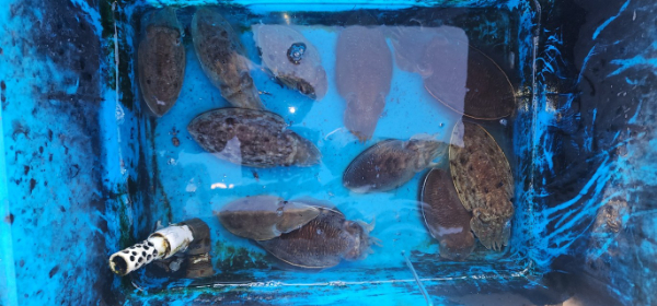 예지퀸호 농어외수질&어초낚시 경기인천권_사진_20251029_12.jpg