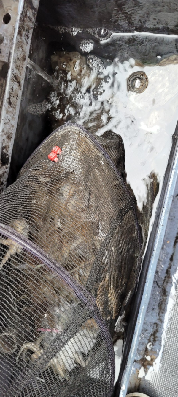 예지퀸호 농어외수질&어초낚시 경기인천권_사진_20251018_11.jpg