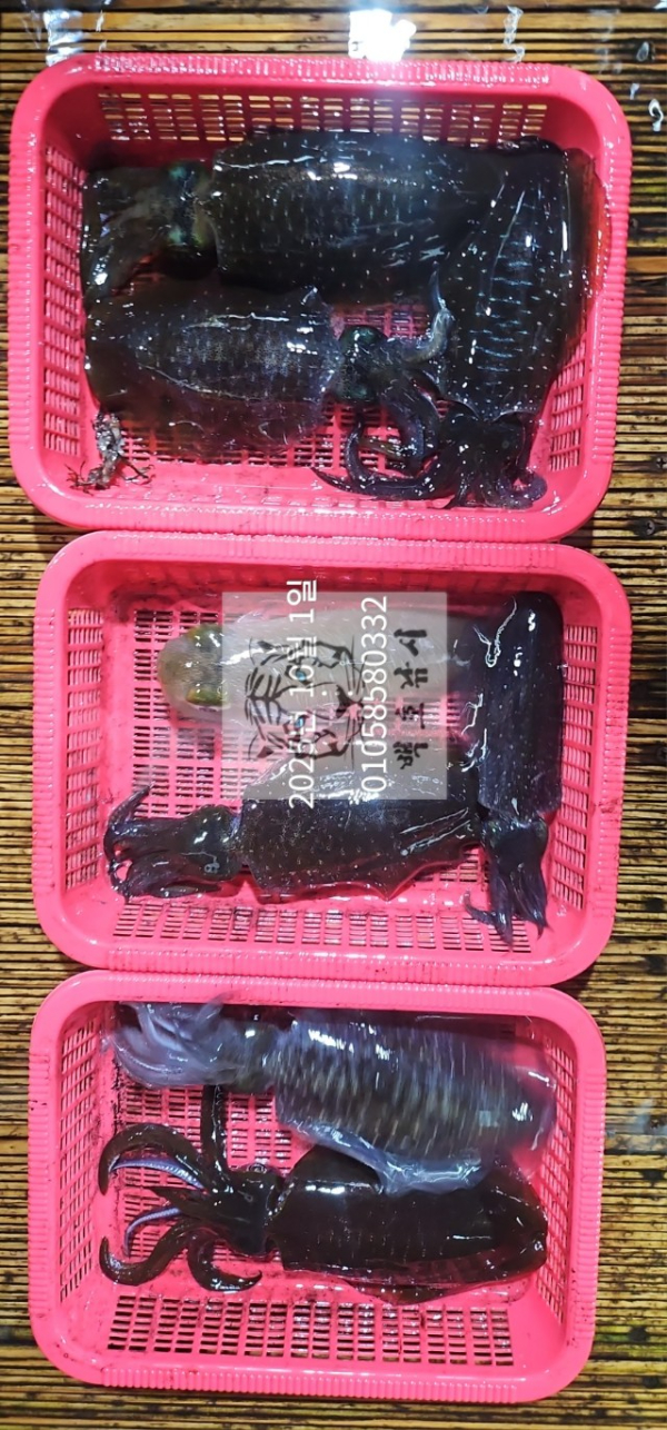 49ef39ee36f92220927afb6e5f72c4c9.jpg