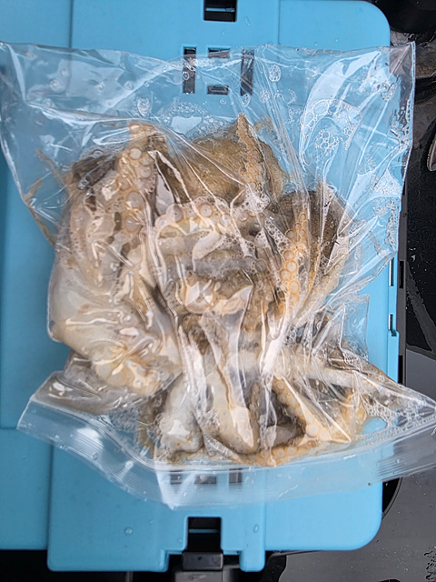 인천쭈꾸미낚시 (17).jpg