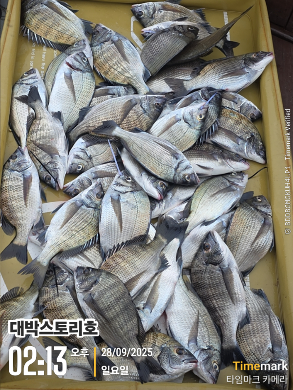 2025-09-28 02.13.07__(대박스토리호).jpg