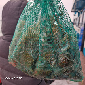 인천쭈꾸미낚시 (15).jpg