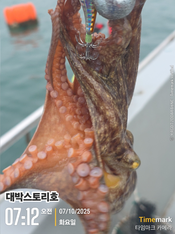 2025-10-07 07.12.46__(대박스토리호).jpg