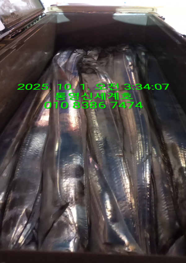 1759271071690.jpg