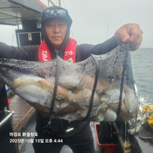 ꫛꫀꪝ✧‧˚ 태안 마검포 新출항호 .• _˚☀₊_사진_20251015_5.jpg