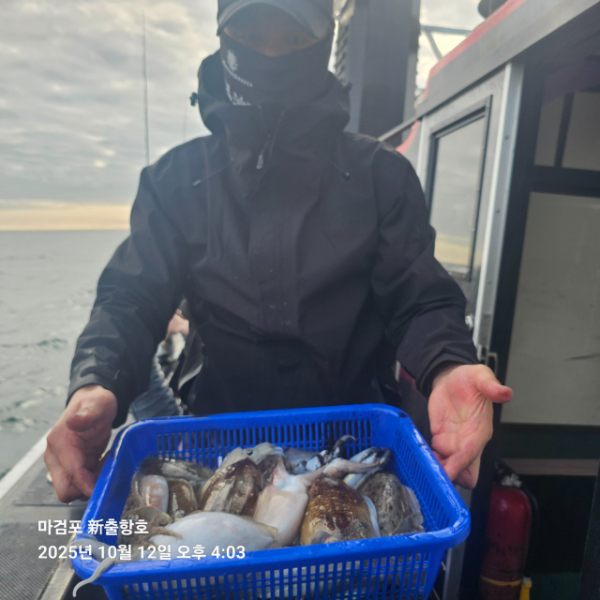 ꫛꫀꪝ✧‧˚ 태안 마검포 新출항호 .• _˚☀₊_사진_20251013_12.jpg