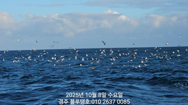 20251008_165416.jpg