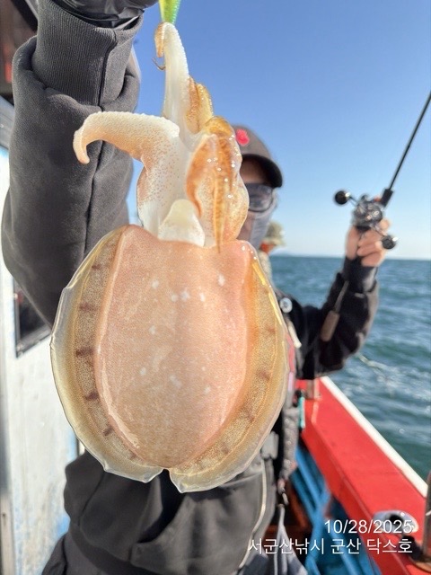 군산 선상낚시, 바다낚시 출조 전문 ☆서군산낚시☆_사진_20251028_8.jpg