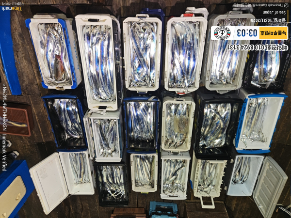 2025-10-31 03.03.55_Japan_(제목-뉴블루마린호)_(예약전화 010 8924 3131).jpg