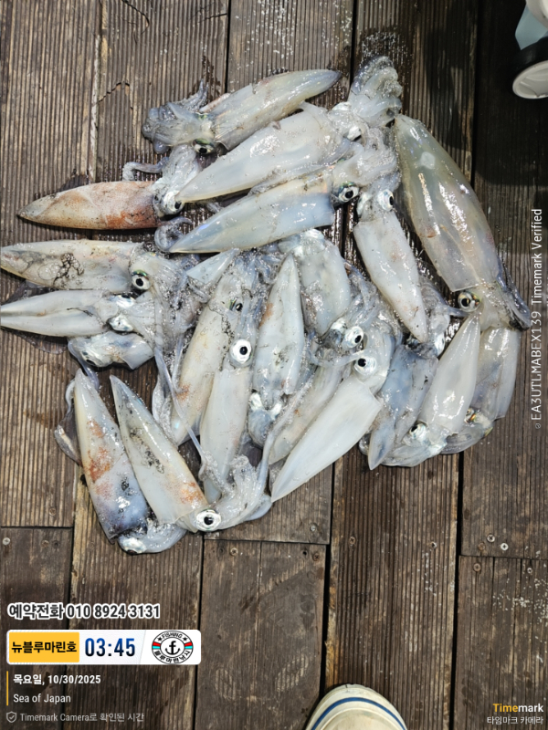 2025-10-30 03.45.29_Japan_(제목-뉴블루마린호)_(예약전화 010 8924 3131).jpg