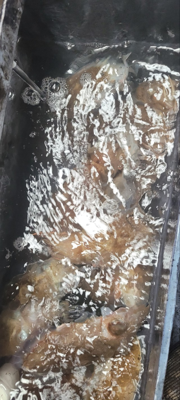 예지퀸호 농어외수질&어초낚시 경기인천권_사진_20251026_9.jpg