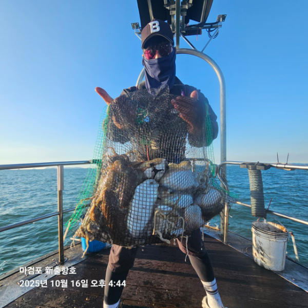 ꫛꫀꪝ✧‧˚ 태안 마검포 新출항호 .• _˚☀₊_사진_20251016_1.jpg