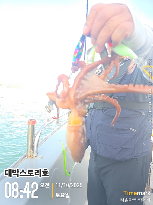 2025-10-11 08.42.12__(대박스토리호).jpg