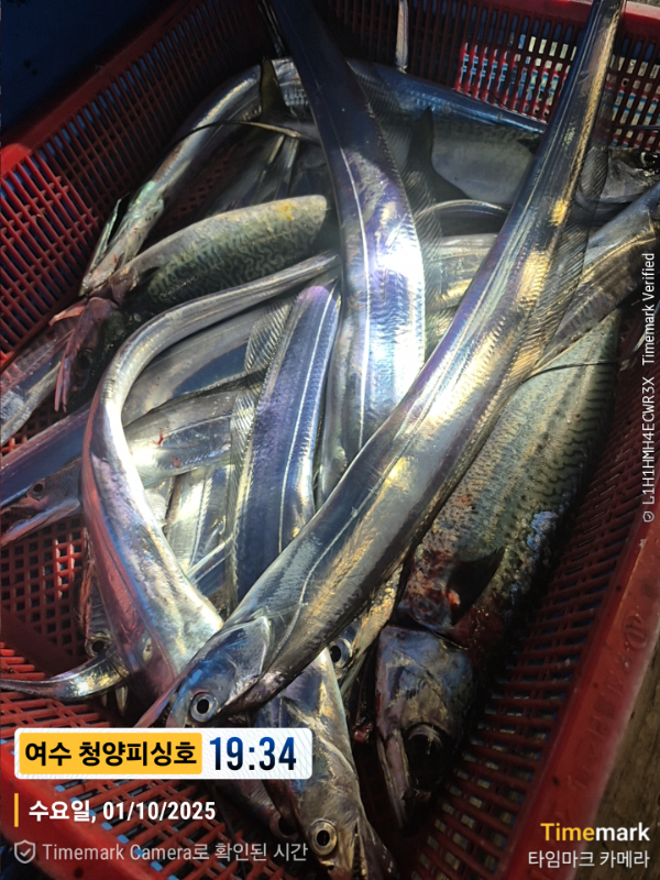 2025-10-01 19.34.16__(제목-여수 청양피싱호).jpg