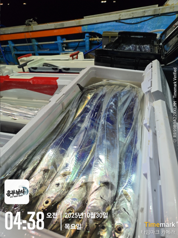 2025-10-30 04.38.12_.jpg