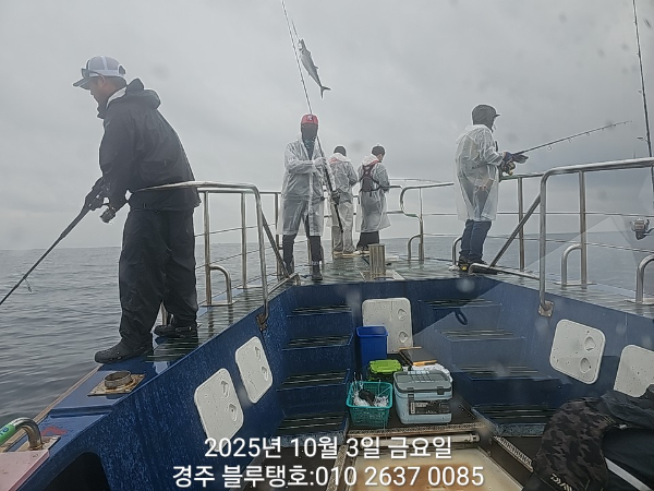 20251003_103501.jpg