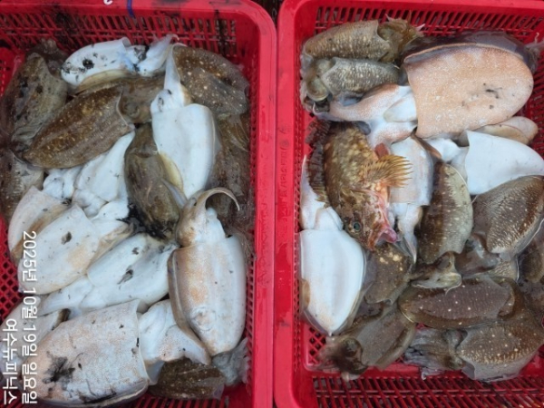 10월19일갑이 (6)-tile.jpg