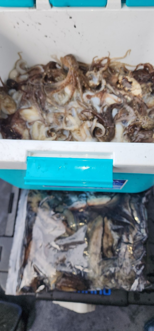 예지퀸호 농어외수질&어초낚시 경기인천권_사진_20250930_7.jpg