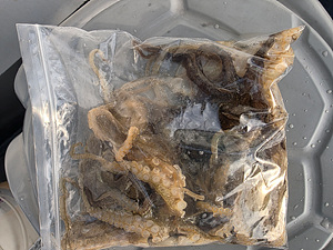 인천쭈꾸미조황 (9).jpg