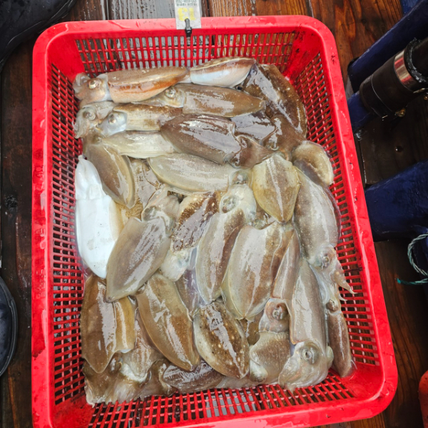 마검포 대한호(VIP)_사진_20251009_3.jpg