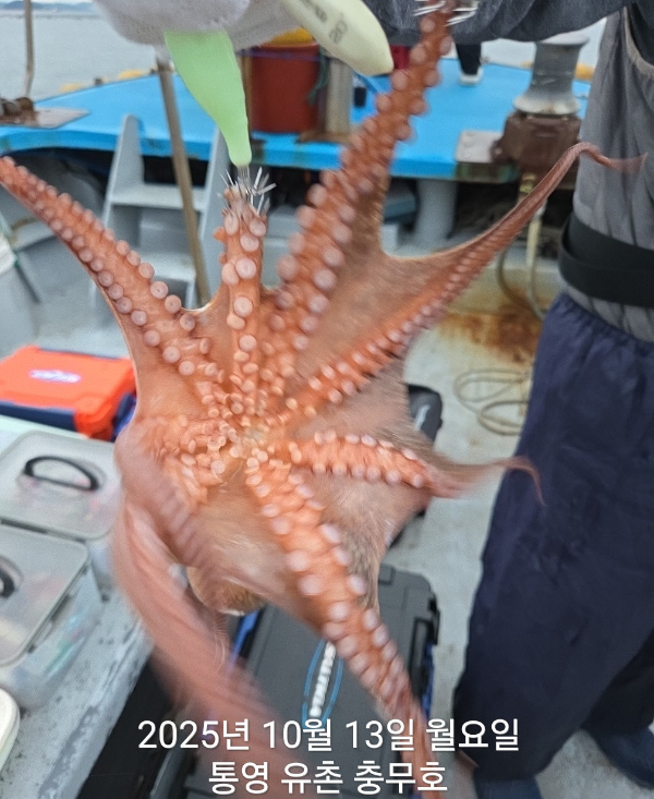1760313066638.jpg