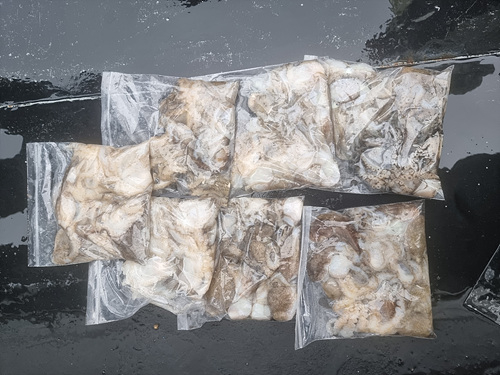 인천쭈꾸미낚시 (3).jpg