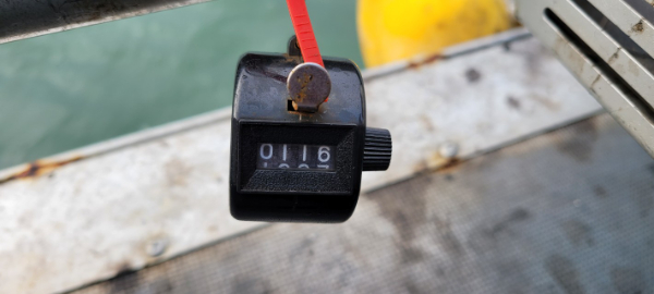 예지퀸호 농어외수질&어초낚시 경기인천권_사진_20251011_6.jpg