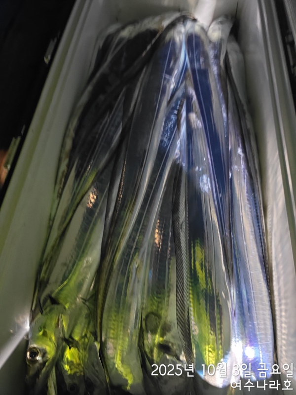 0CDC6923-86F3-404F-808B-A707C6B21CE3.jpeg