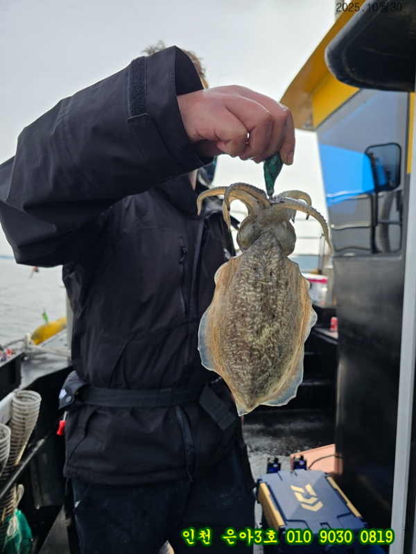 10월30 3호 (7).jpg