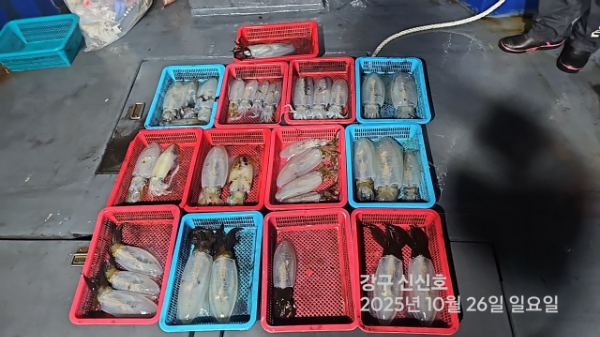 신신낚시 강구점 신신호_사진_20251027_11.jpg