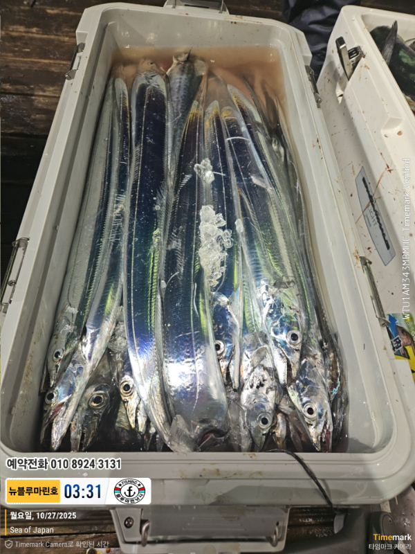 2025-10-27 03.31.12_Japan_(제목-뉴블루마린호)_(예약전화 010 8924 3131).jpg