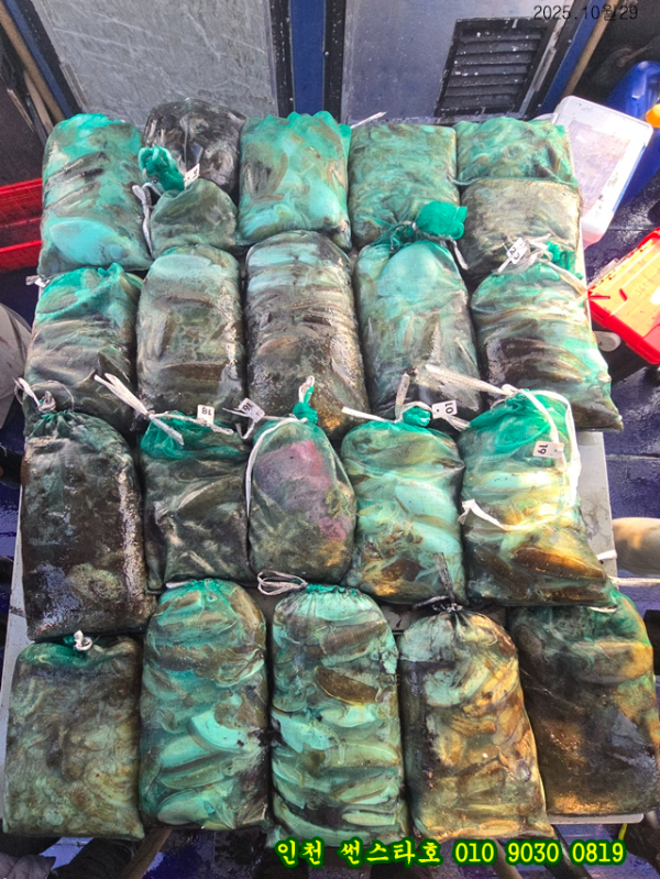 10월29 썬 (11).jpg