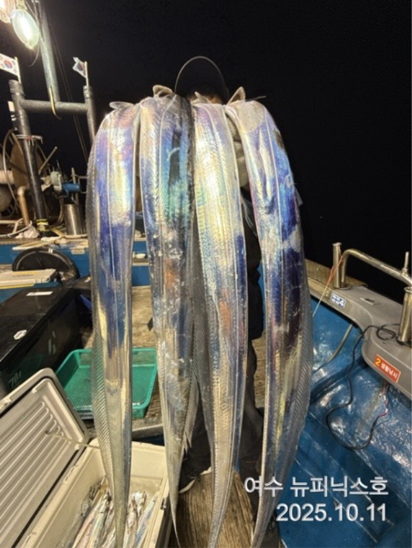 큰10월12일갈치 (9).jpg