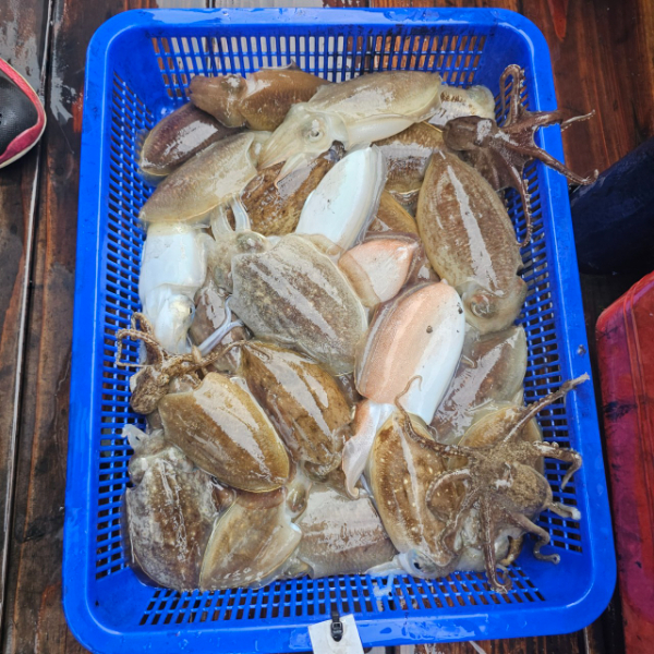 마검포 대한호(VIP)_사진_20251009_2.jpg