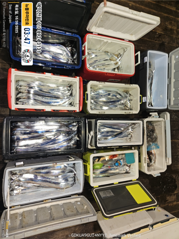 2025-10-30 03.47.00_Japan_(제목-뉴블루마린호)_(예약전화 010 8924 3131).jpg