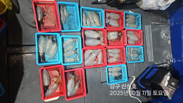 신신낚시 강구점 신신호_사진_20251012_13.jpg