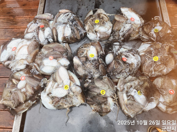 군산 선상낚시, 바다낚시 출조 전문 ☆서군산낚시☆_사진_20251026_4.jpg