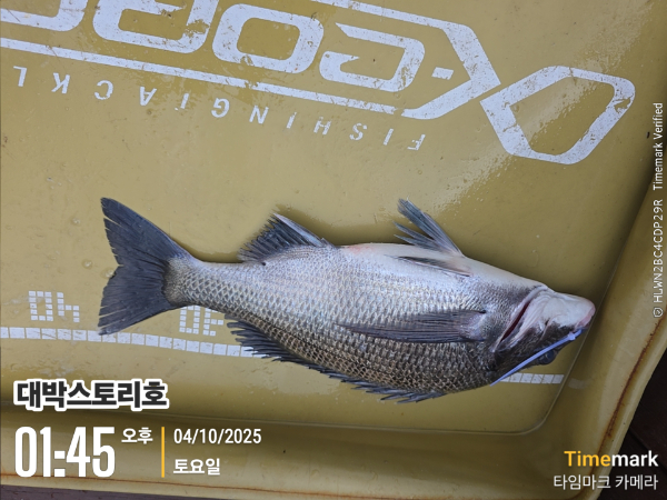 2025-10-04 01.45.52__(대박스토리호).jpg