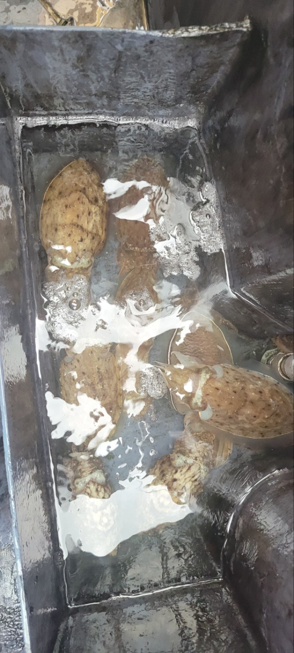 예지퀸호 농어외수질&어초낚시 경기인천권_사진_20251026_6.jpg