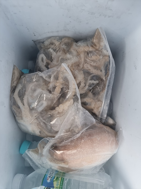 인천쭈꾸미낚시 (11).jpg