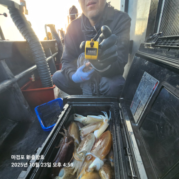 ꫛꫀꪝ✧‧˚ 태안 마검포 新출항호 .• _˚☀₊_사진_20251023_2.jpg