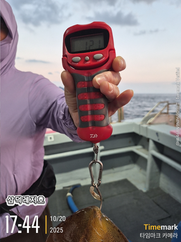 2025-10-20 17.44.34_.jpg