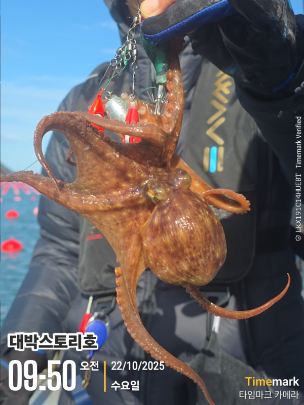 2025-10-22 09.50.38__(대박스토리호).jpg